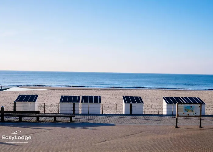 - Modern With Garage Near The